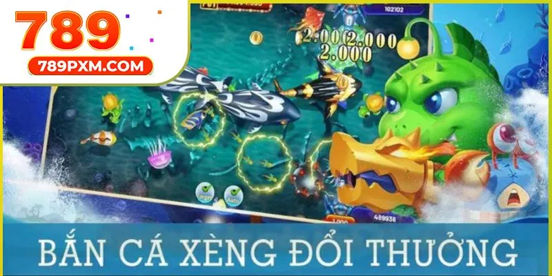 ban-ca-xeng