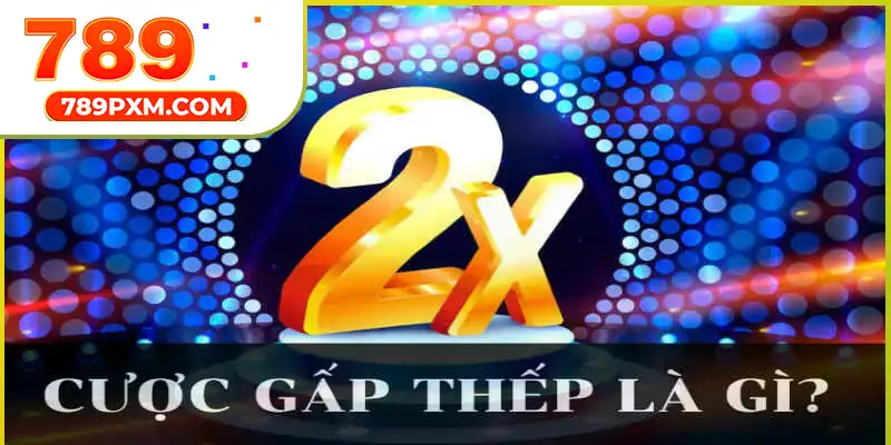 Tổng quan giới thiệu chung về cá độ gấp thếp khi chơi casino Tổng quan giới thiệu chung về cá độ gấp thếp khi chơi casino