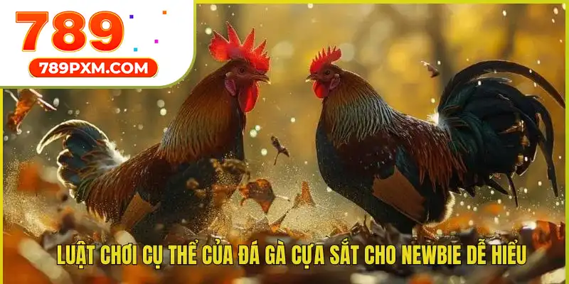 Luật chơi đá gà cựa sắt