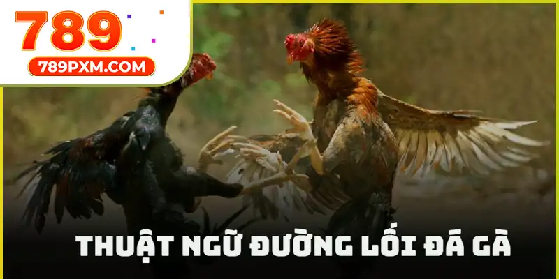 Từ ngữ mô tả lối tung đòn của chiến kê