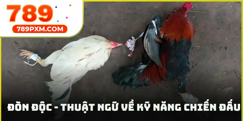 Tuyệt chiêu đòn độc luôn được đánh giá cao trong trận chọi